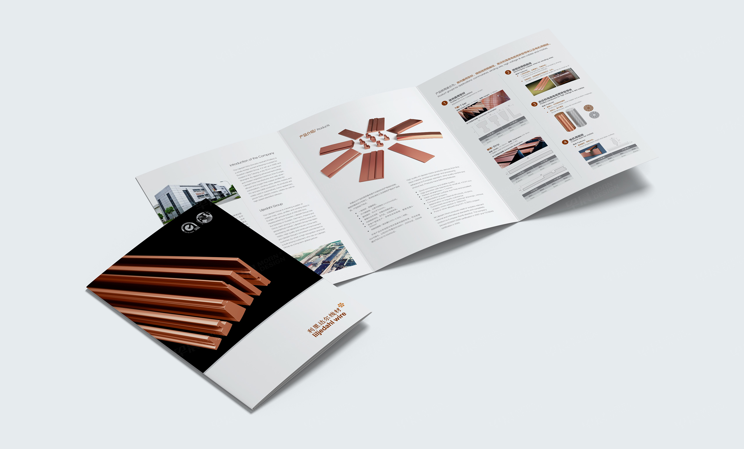 三折页设计,利里达尔宣传页设计,苏州,无锡,常州,南通,泰州,镇江,南京,扬州,张家港,江阴,太仓,昆山,常熟,靖江,宣传折页设计,制作,公司