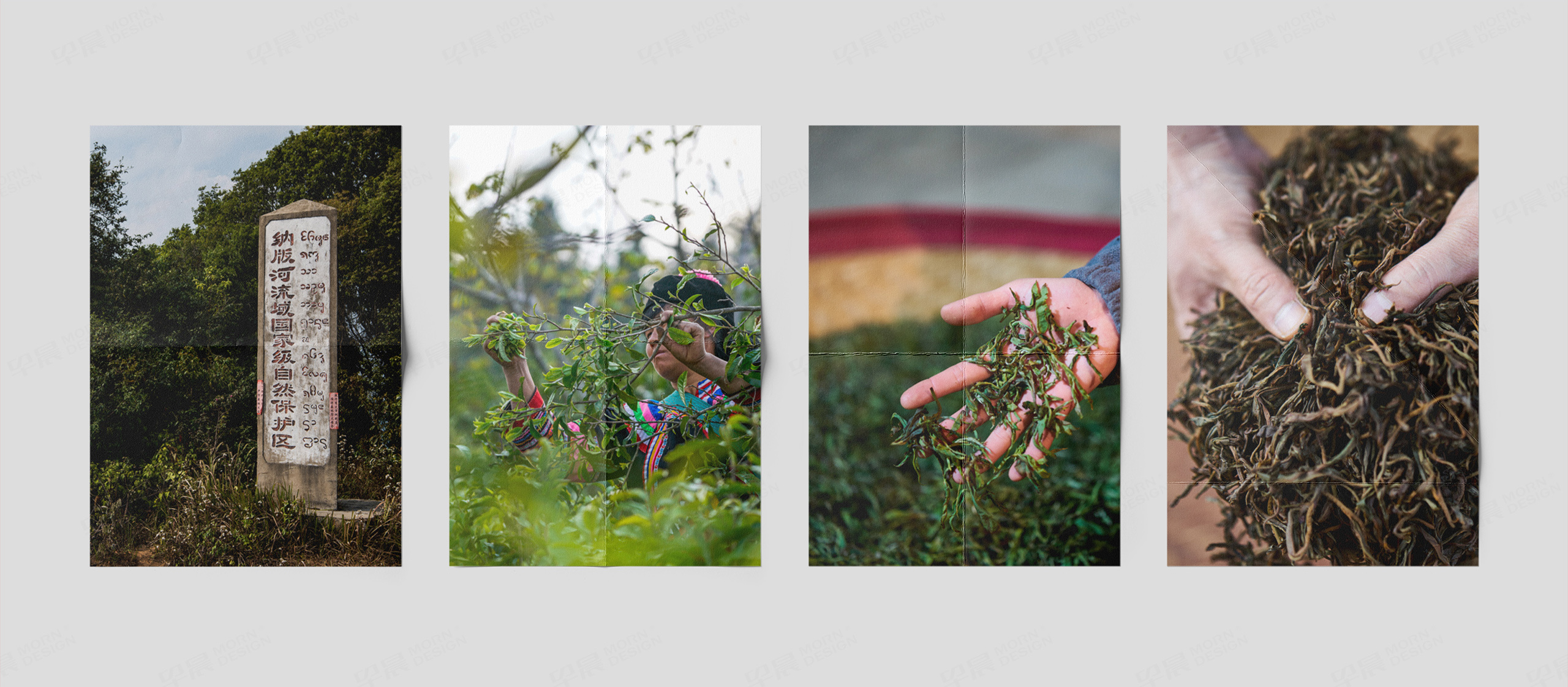 VI设计,大熊手制作品牌VI设计,苏州,无锡,常州,南通,泰州,镇江,南京,扬州,全套品牌VI设计,制作,公司