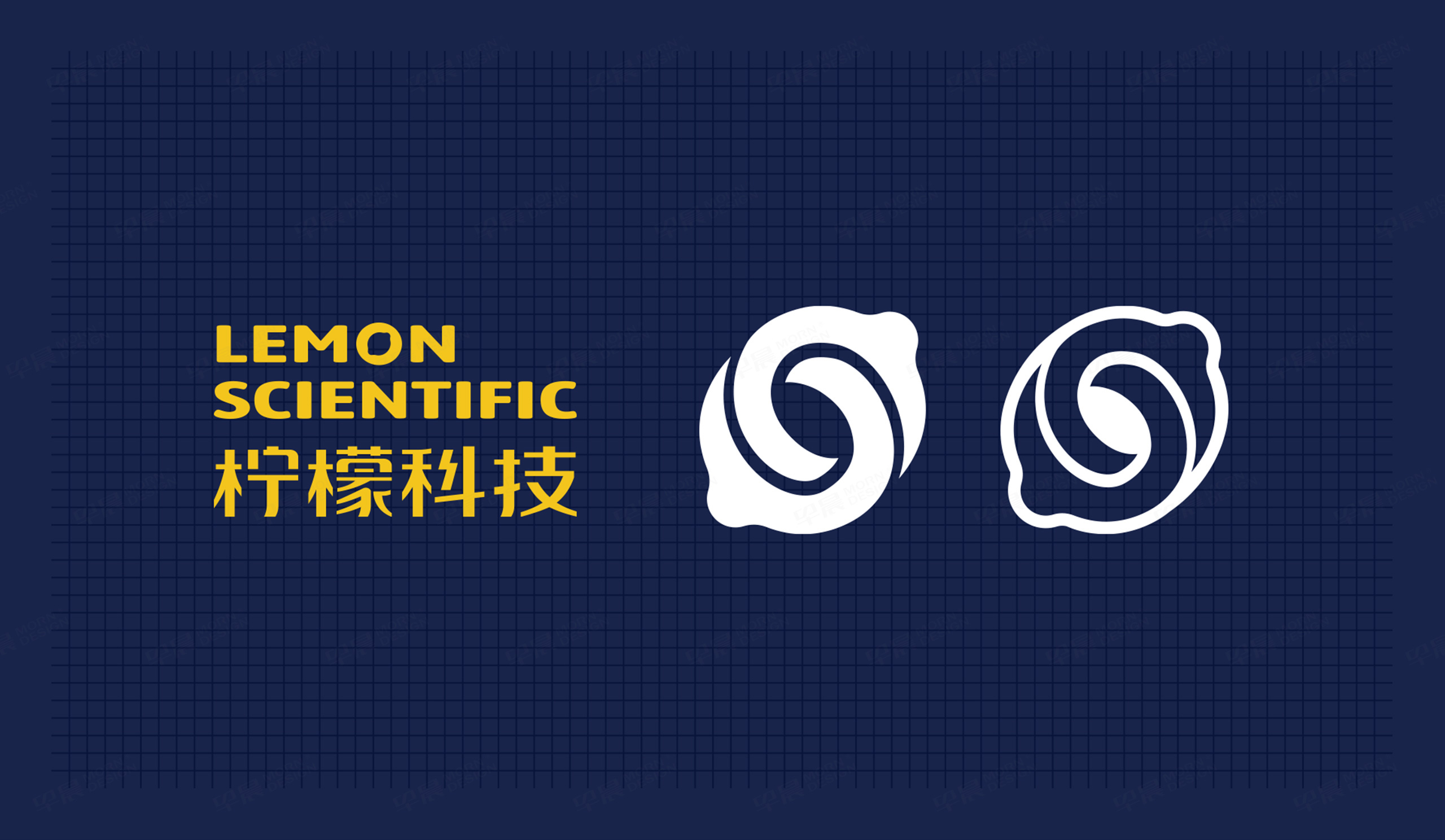南京柠檬科技品牌logo设计,VI设计,,logo设计,标志设计,公司