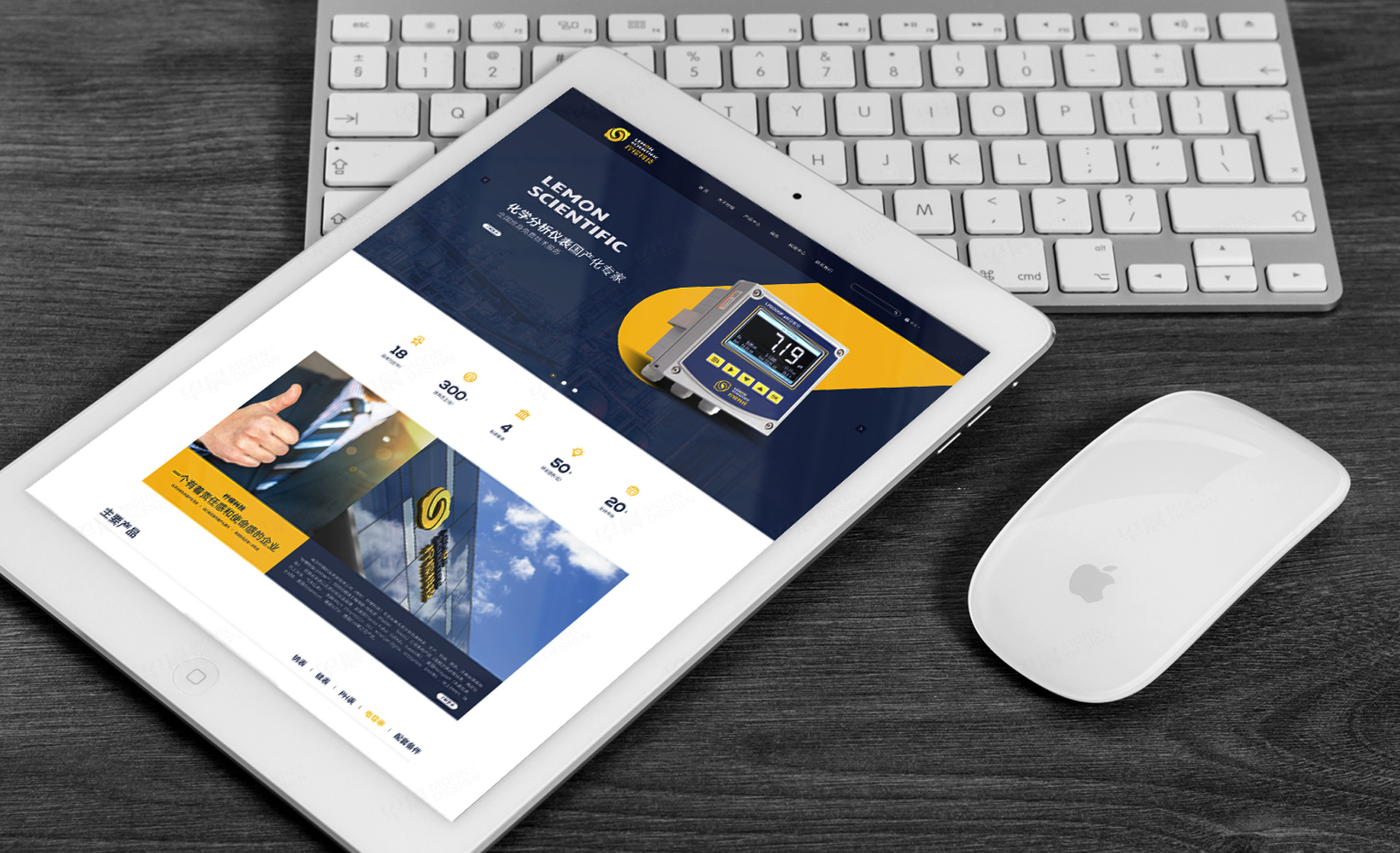 南京柠檬科技品牌logo设计,VI设计,,logo设计,标志设计,公司