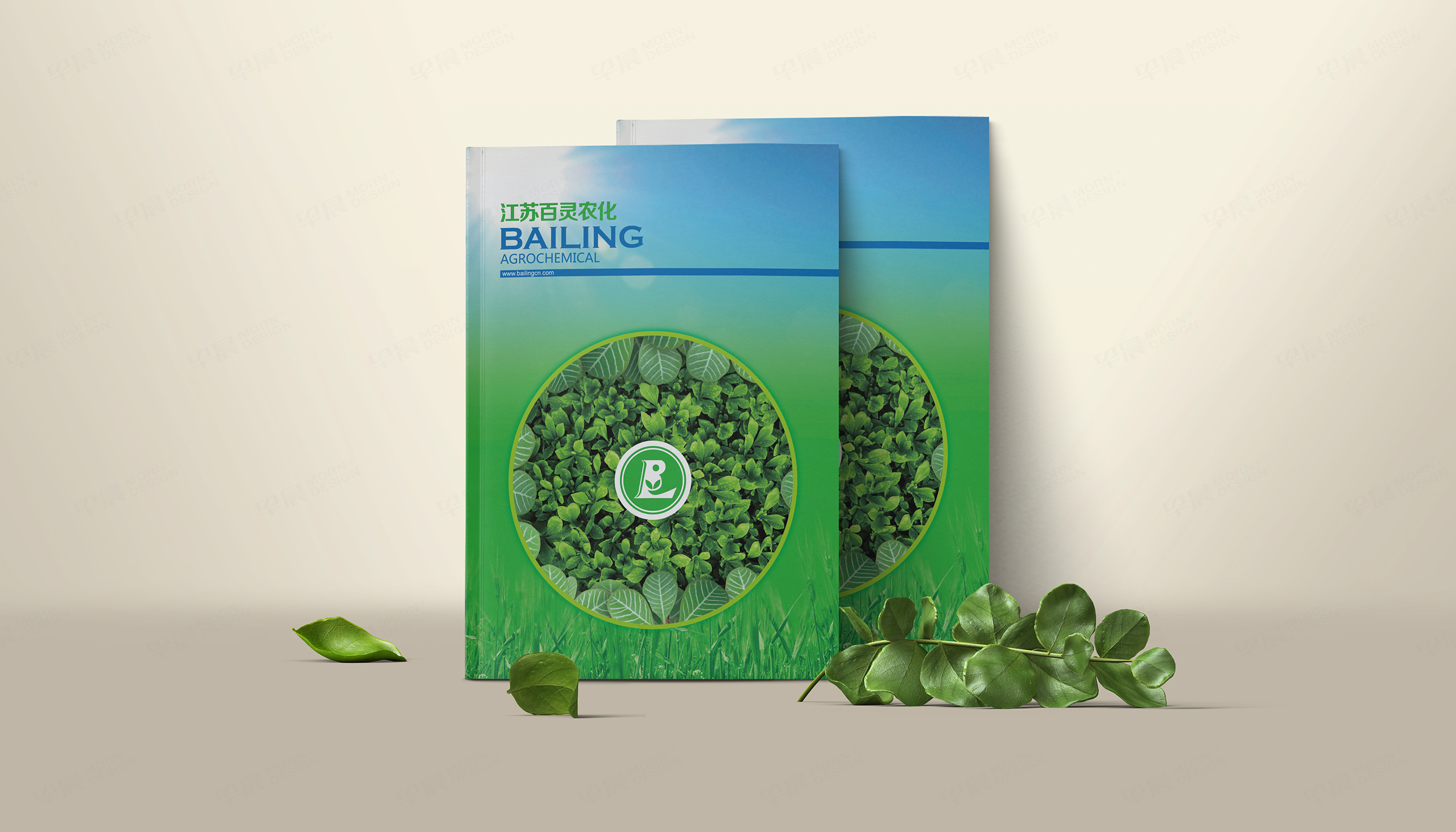 产品册设计,图册设计,百灵农化产品图册设计,苏州,无锡,常州,南通,泰州,张家港,江阴,太仓,昆山,常熟,产品图册设计制作,公司