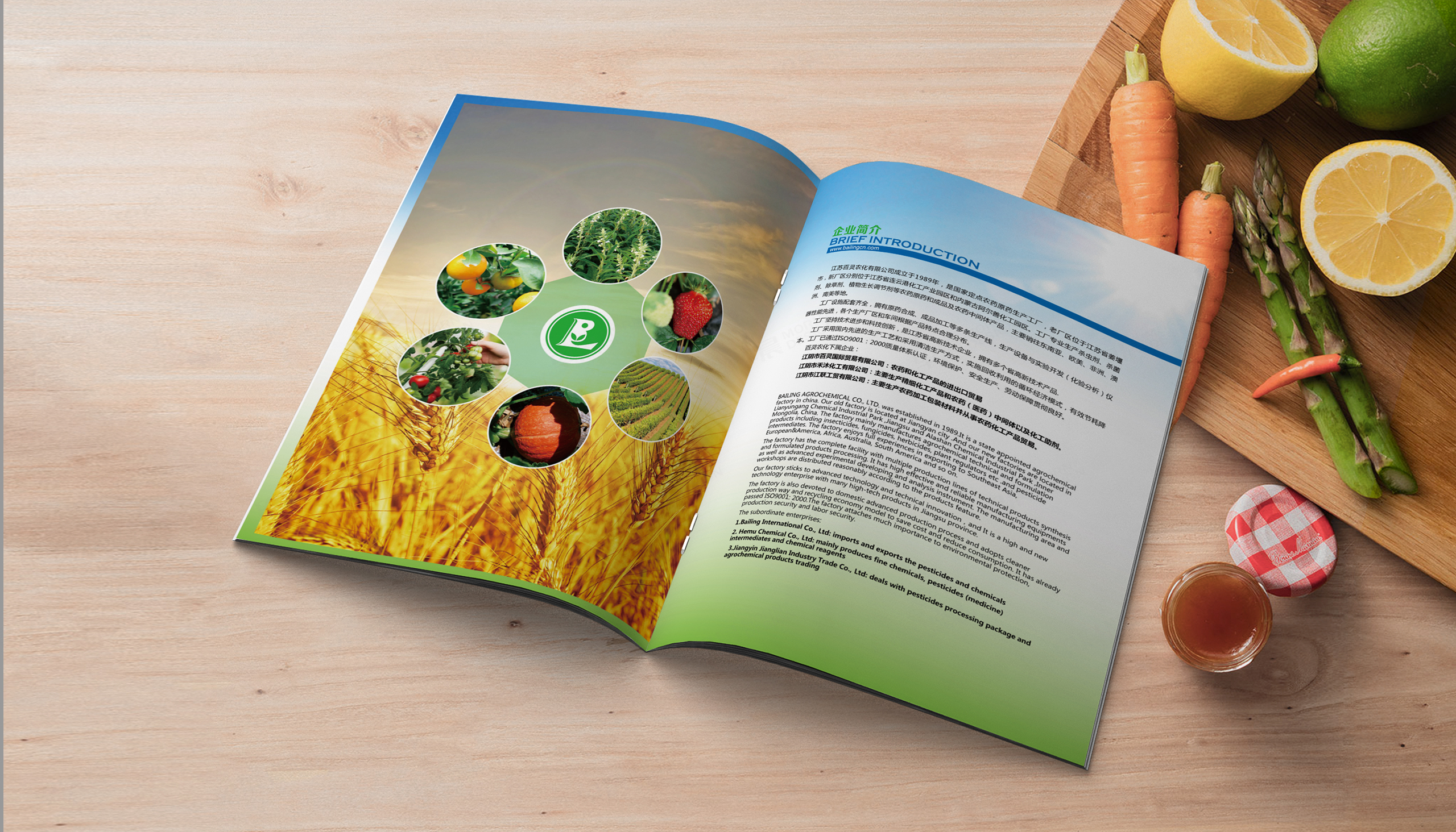 产品册设计,图册设计,百灵农化产品图册设计,苏州,无锡,常州,南通,泰州,张家港,江阴,太仓,昆山,常熟,产品图册设计制作,公司