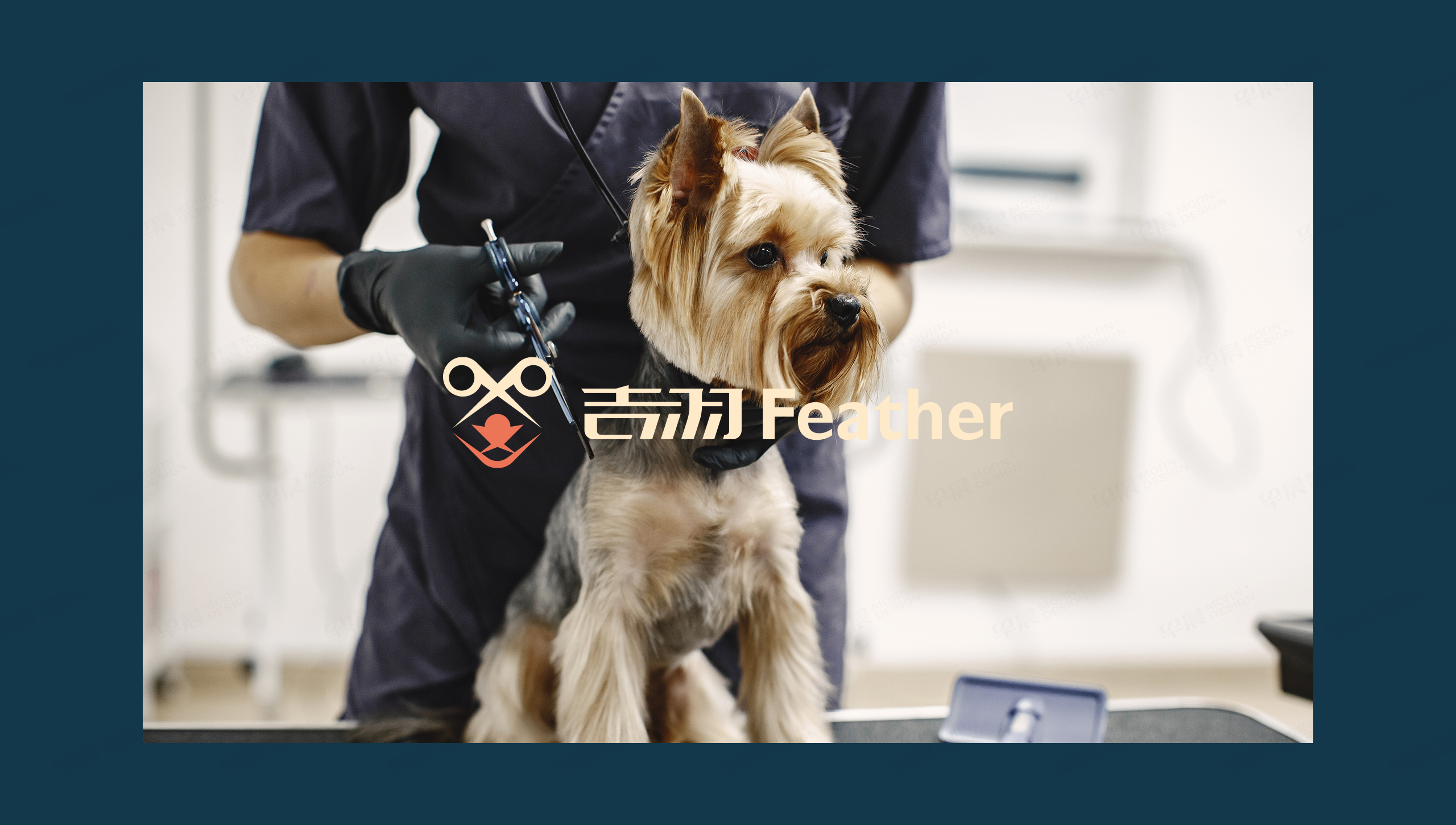 logo设计,吉羽,宠物剪刀logo设计,字体设计,品牌VI设计,苏州,无锡,常州,南通,泰州,镇江,南京,扬州,品牌VI形象设计,Logo设计公司