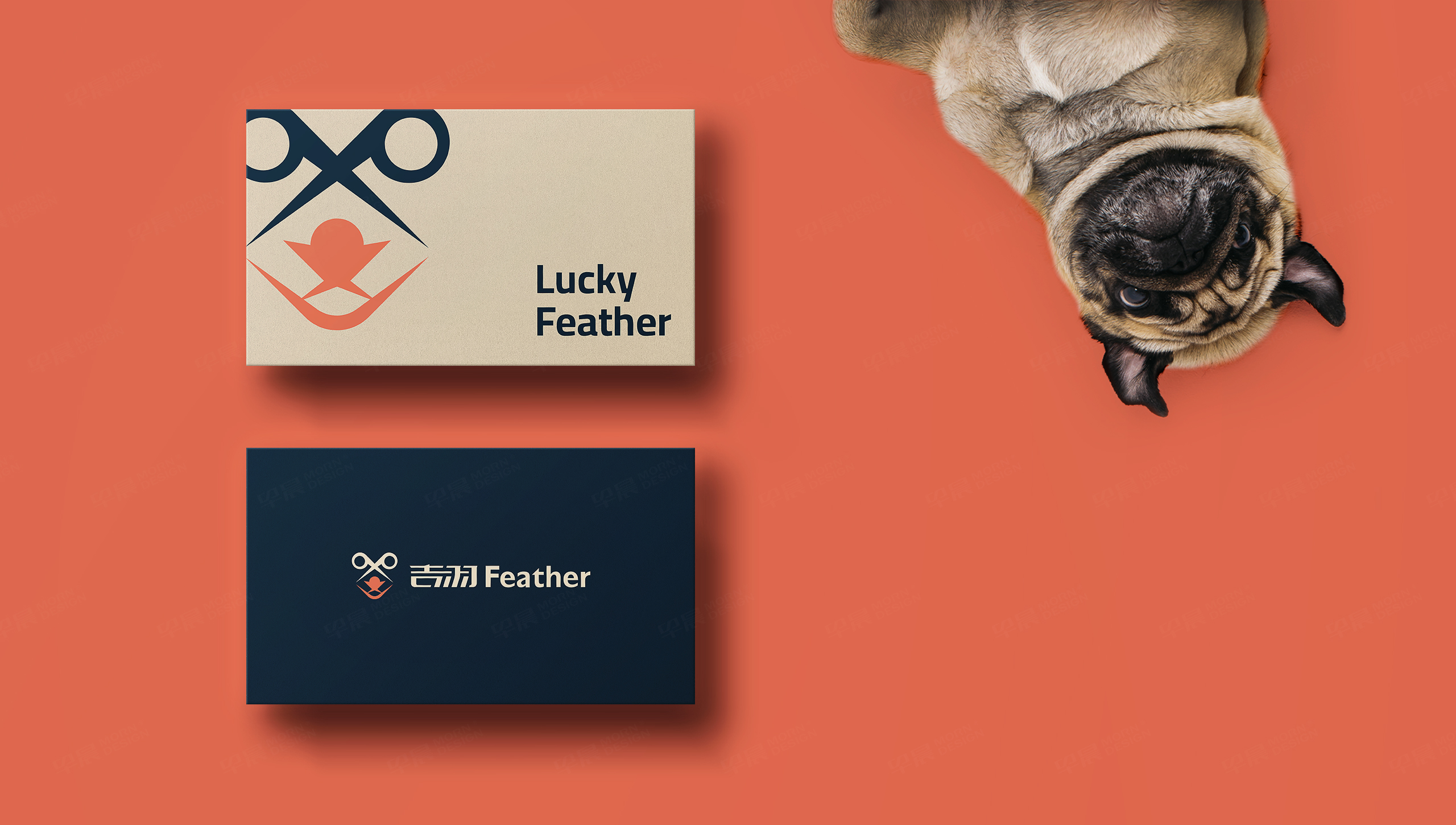 logo设计,吉羽,宠物剪刀logo设计,字体设计,品牌VI设计,苏州,无锡,常州,南通,泰州,镇江,南京,扬州,品牌VI形象设计,Logo设计公司