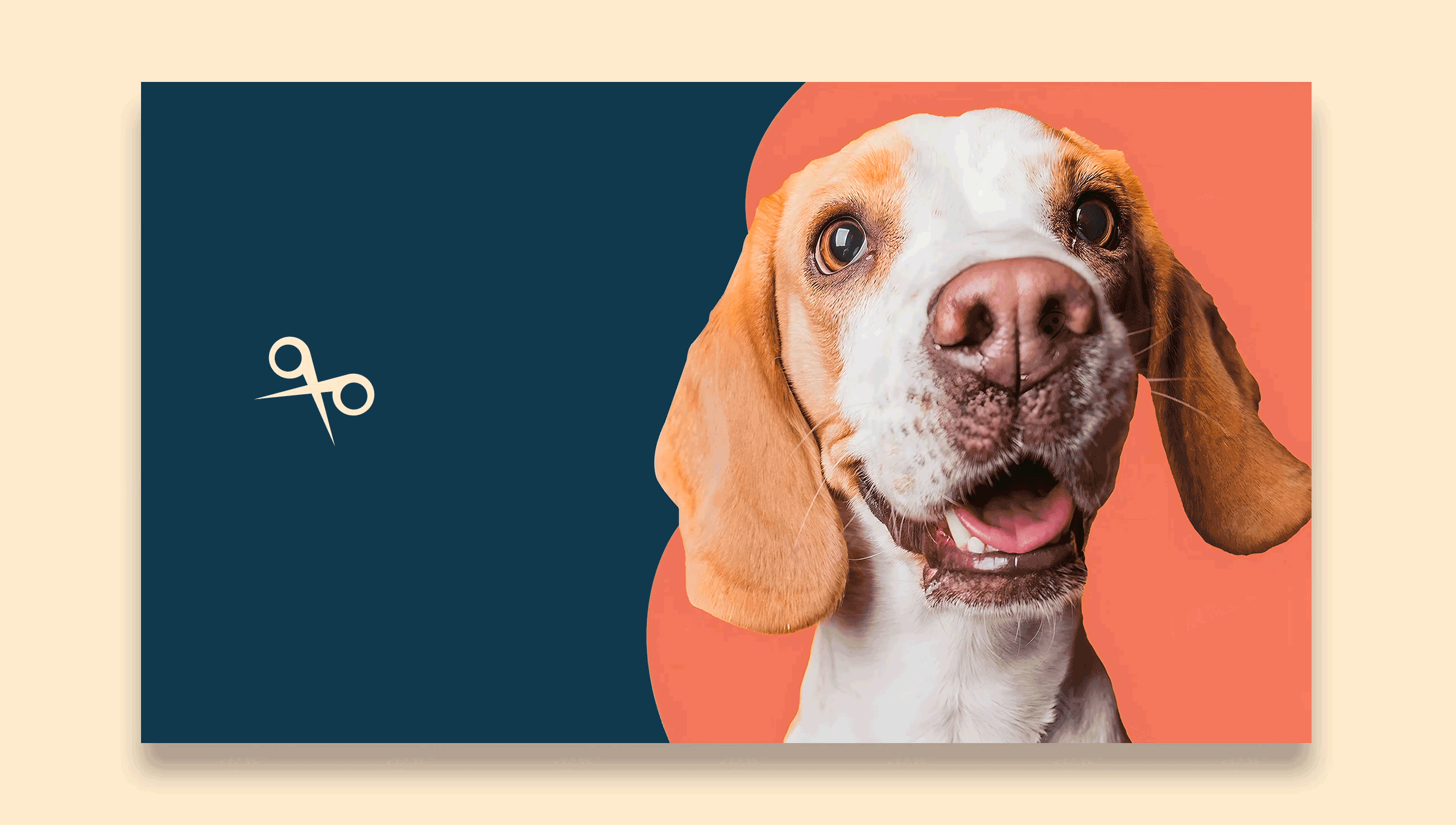 logo设计,吉羽,宠物剪刀logo设计,字体设计,品牌VI设计,苏州,无锡,常州,南通,泰州,镇江,南京,扬州,品牌VI形象设计,Logo设计公司