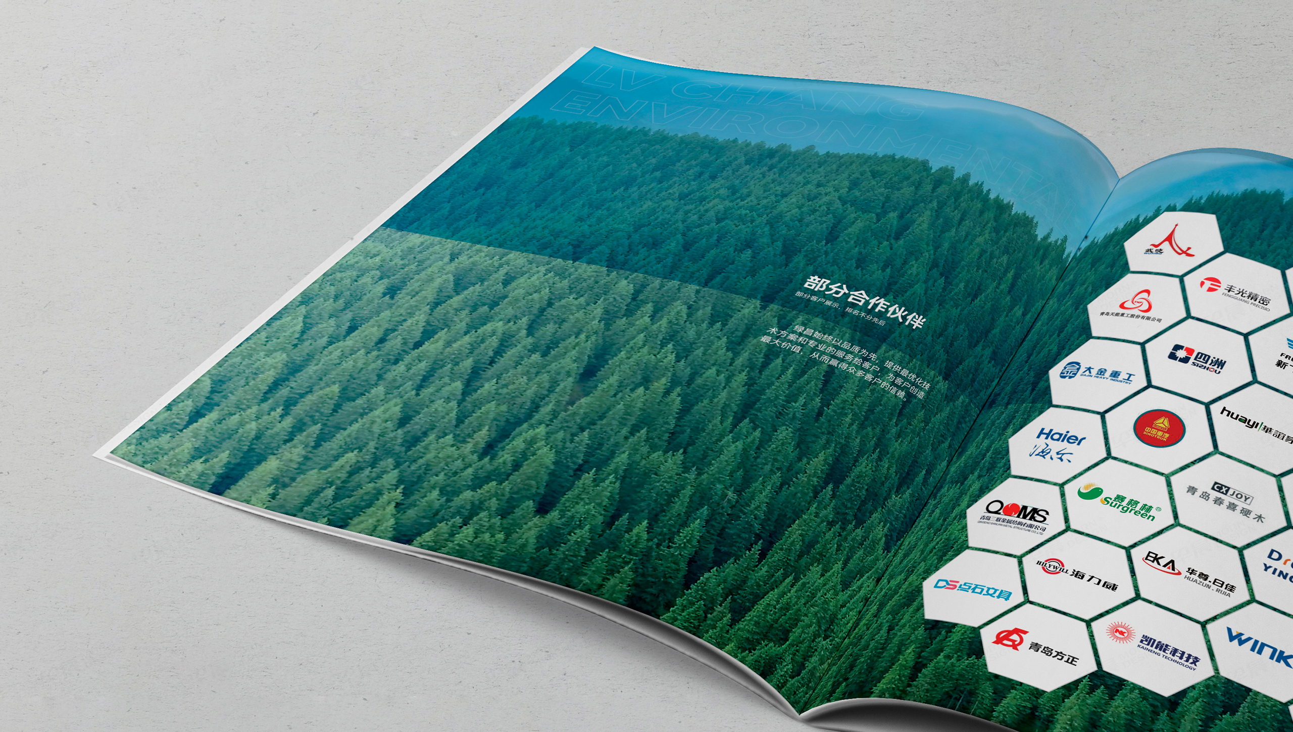 画册设计,宣传画册,环保设备,绿昌,苏州,无锡,常州,南通,泰州,张家港,江阴,太仓,昆山,常熟,靖江,画册制作,设计公司,制作公司