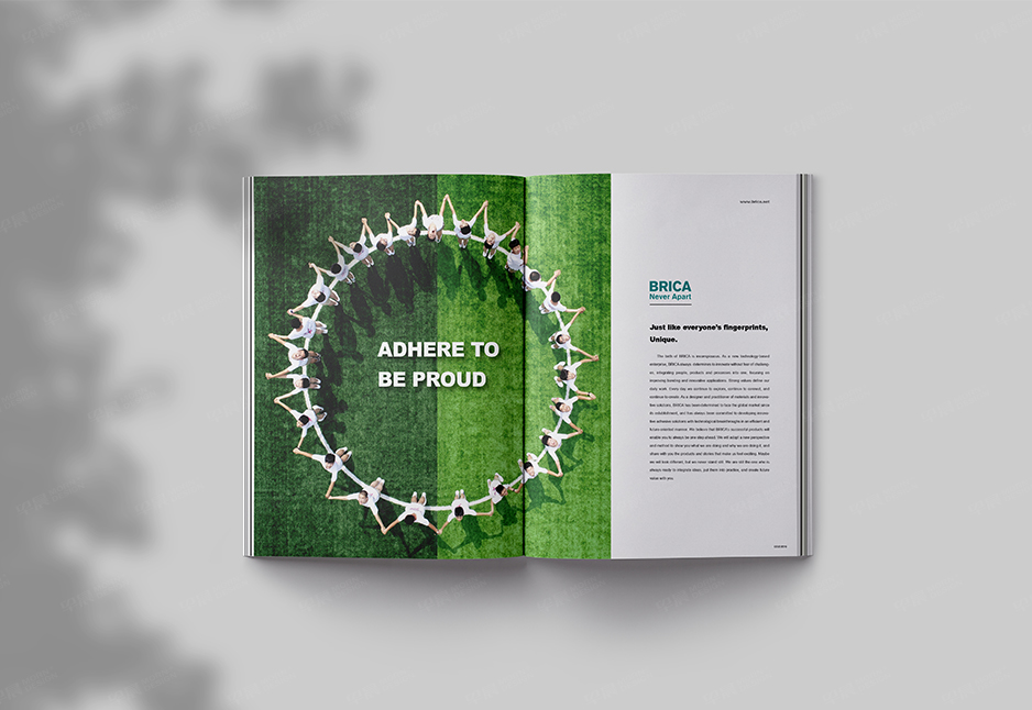 草坪,粘合剂,画册设计,样本设计,彩本设计,张家港,江阴,昆山,常熟,海门,海安,苏州,无锡,宜兴,柏丽佳,公司