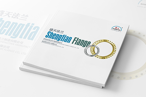 盛天法兰产品册设计制作