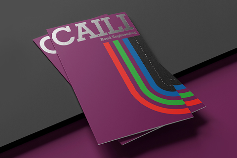 彩力折页设计[彩页设计]