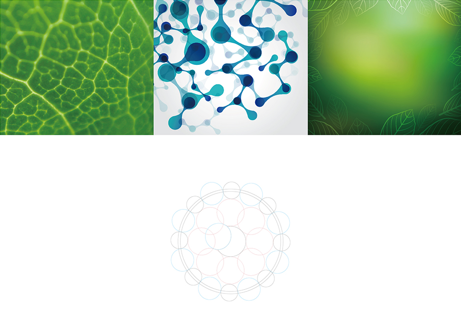 张根木生物科技logo设计,张家港品牌策划,品牌设计★张家港早晨设计★企业VI设计,企业策划,形象设计,张家港Logo设计,标志设计,张家港商标设计,字体设计,图形设计