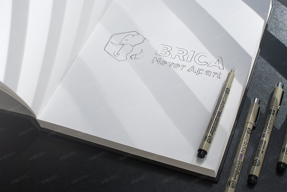 柏丽佳标志logo设计和VI设计,张家港,江阴,太仓,常熟,昆山,靖江,品牌策划设计,VI设计,标志LOGO设计,公司