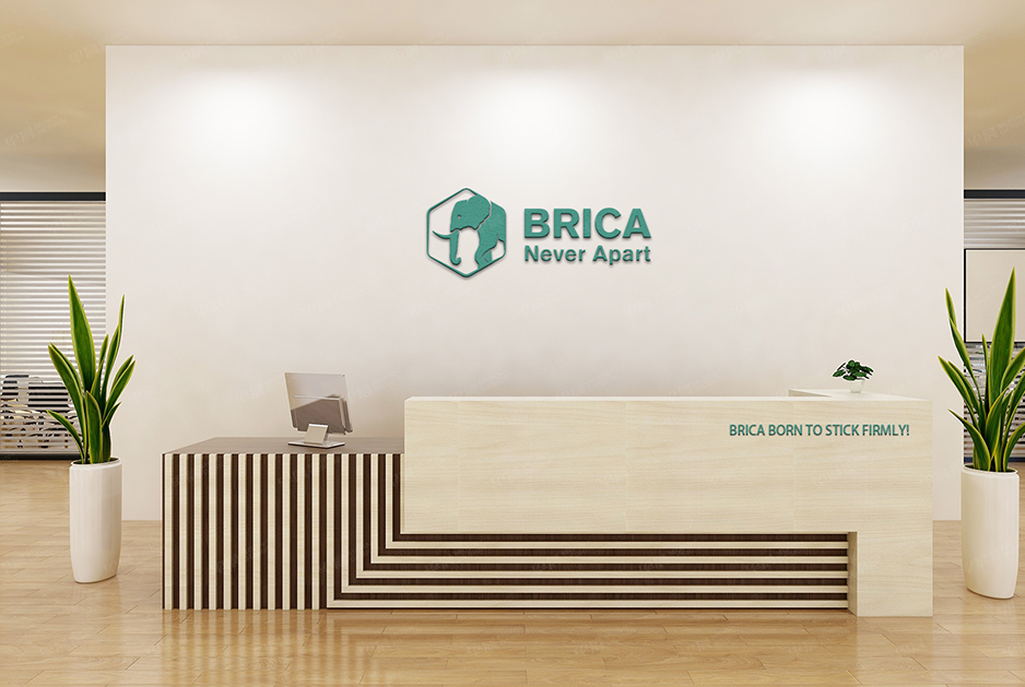 柏丽佳标志logo设计和VI设计,张家港,江阴,太仓,常熟,昆山,靖江,品牌策划设计,VI设计,标志LOGO设计,公司