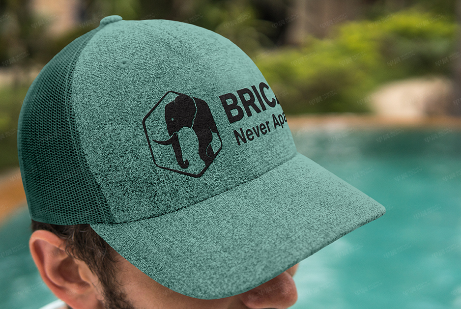 柏丽佳标志logo设计和VI设计,张家港,江阴,太仓,常熟,昆山,靖江,品牌策划设计,VI设计,标志LOGO设计,公司