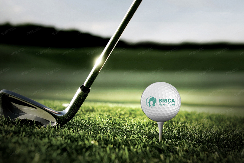 柏丽佳标志logo设计和VI设计,张家港,江阴,太仓,常熟,昆山,靖江,品牌策划设计,VI设计,标志LOGO设计,公司