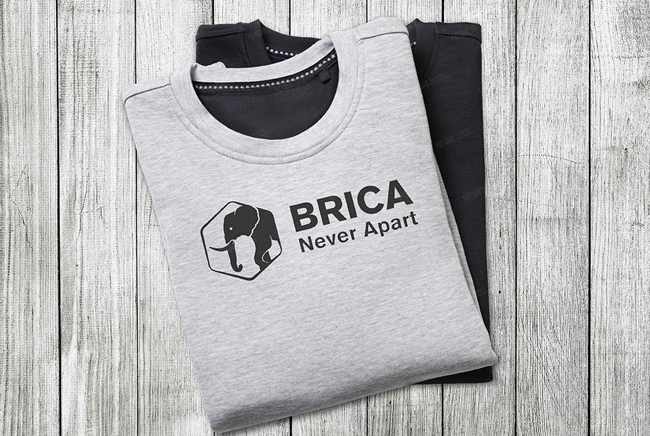 柏丽佳标志logo设计和VI设计,张家港,江阴,太仓,常熟,昆山,靖江,品牌策划设计,VI设计,标志LOGO设计,公司