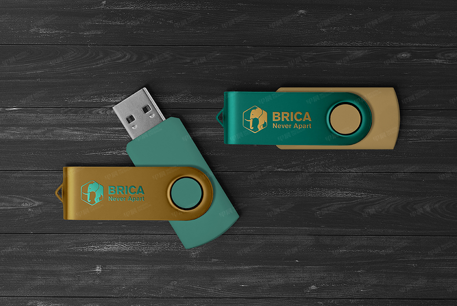 柏丽佳标志logo设计和VI设计,张家港,江阴,太仓,常熟,昆山,靖江,品牌策划设计,VI设计,标志LOGO设计,公司