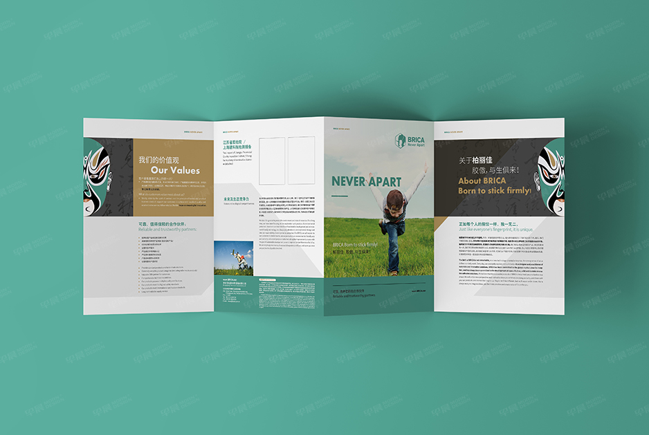 柏丽佳标志logo设计和VI设计,张家港,江阴,太仓,常熟,昆山,靖江,品牌策划设计,VI设计,标志LOGO设计,公司