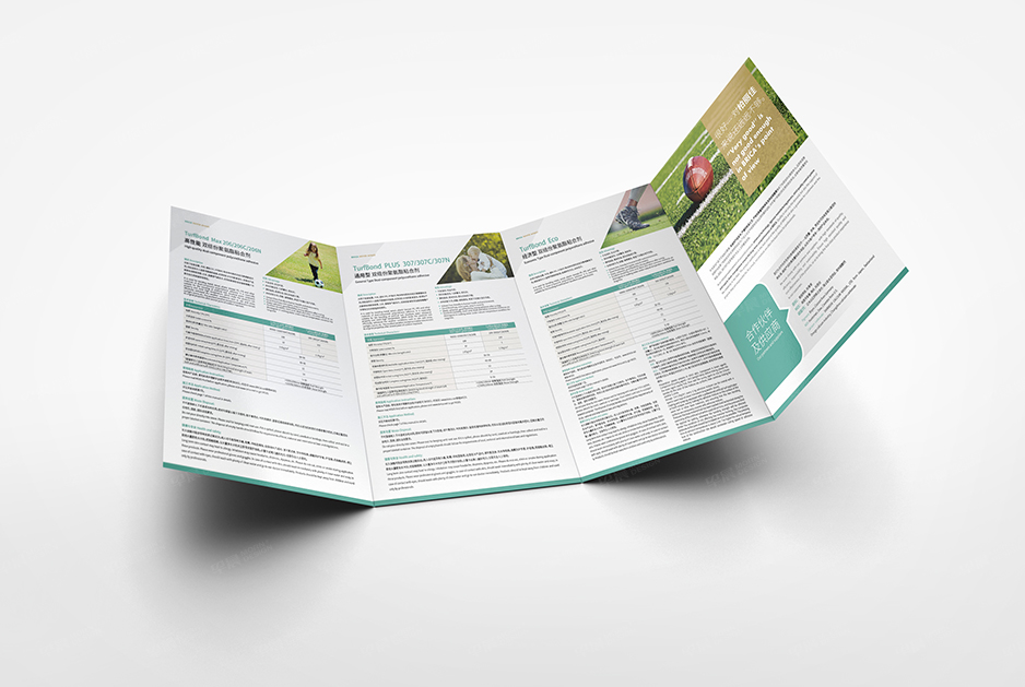 柏丽佳标志logo设计和VI设计,张家港,江阴,太仓,常熟,昆山,靖江,品牌策划设计,VI设计,标志LOGO设计,公司