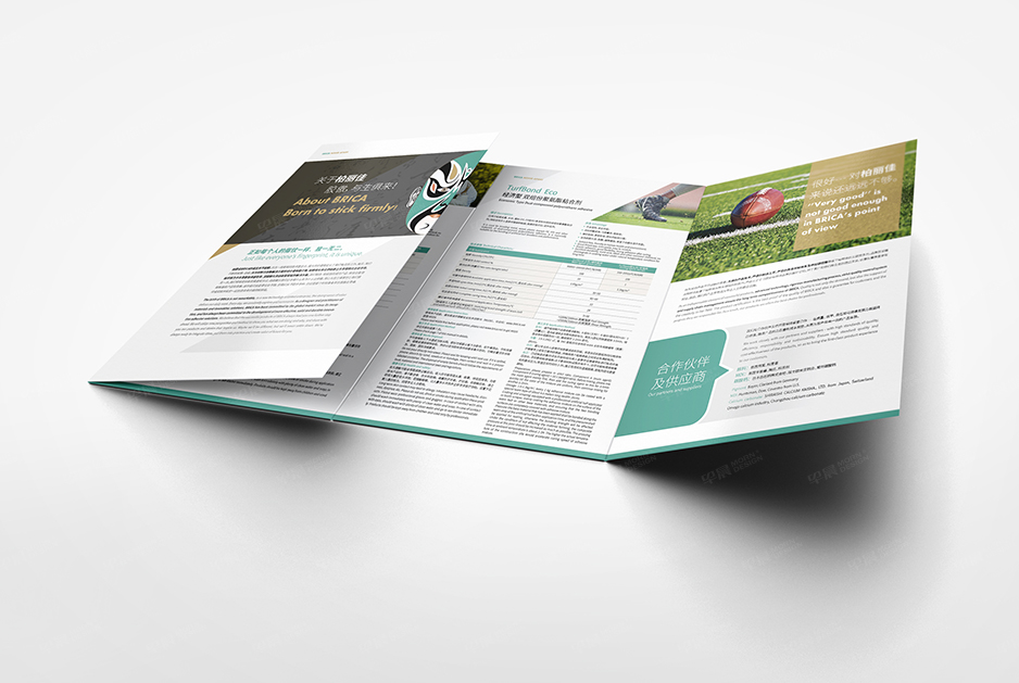 柏丽佳标志logo设计和VI设计,张家港,江阴,太仓,常熟,昆山,靖江,品牌策划设计,VI设计,标志LOGO设计,公司