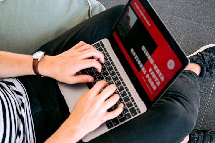 如何查看一个网站某个关键词是不是软件刷的排名?